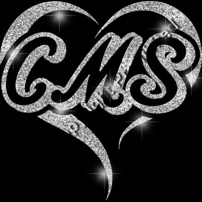 GLT77 SILVER GLITTER Thumbnail